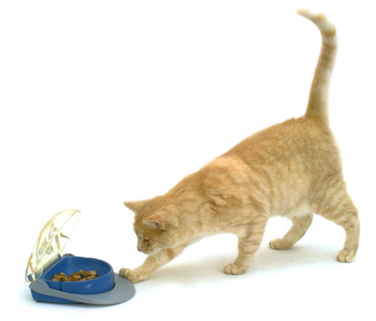 pedalbowl