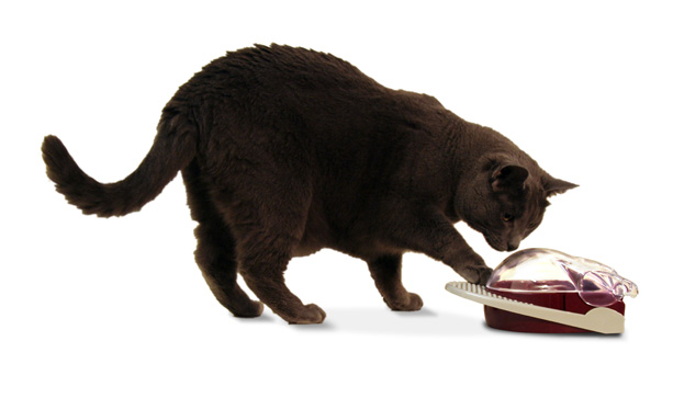 pedalbowl